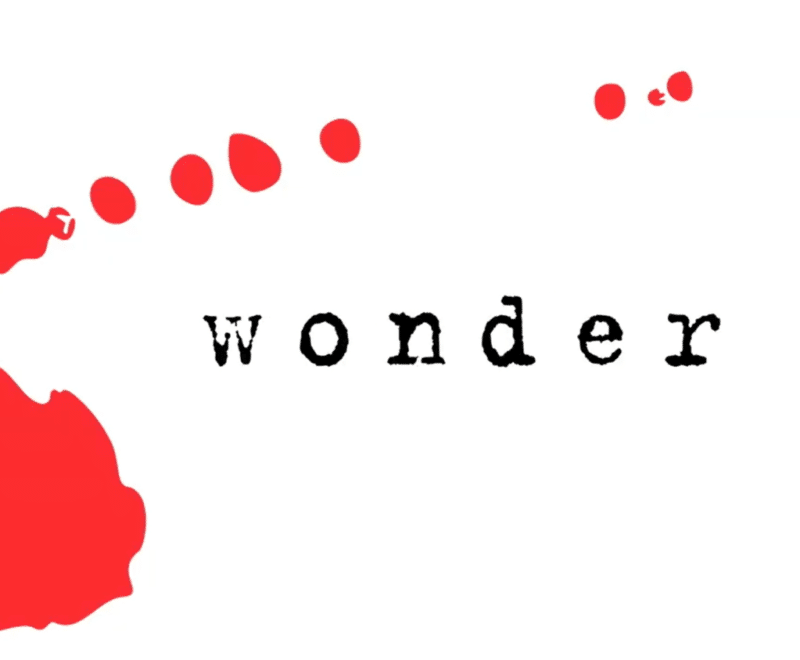 The word 'wonder' in lowercase black typewriter style font is centered in the image. A red mark, as if a splash of ink, surrounds the text, diminishing from bottom left corner to top right.
