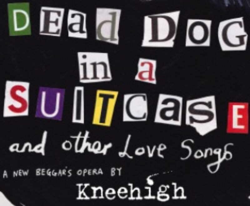 Theatrical poster for 'dead dog in a suitcase (and other love songs),' a modern opera by kneehigh, depicting a stylized dog and floating money.