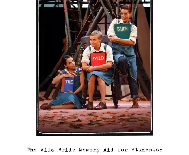 Kneehigh - The Wild Bride - Memory Aid for Students