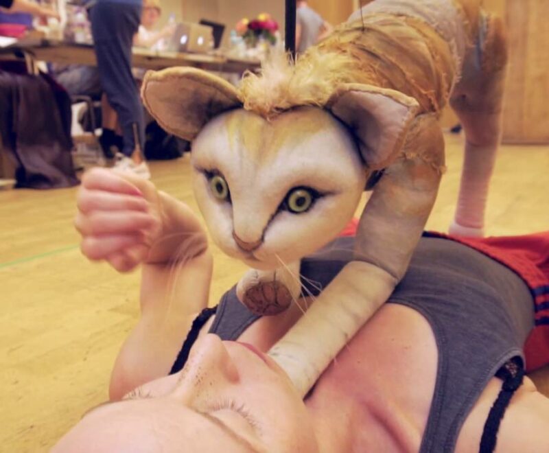 Person with a cat mask performing a theatrical act.