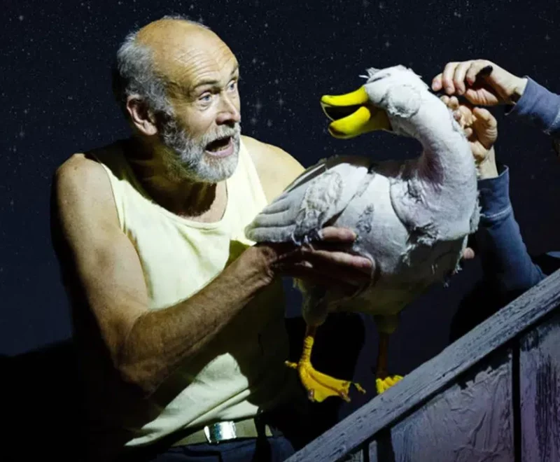 A thumbnail for the FUP trailer. Image features Dave Mynne dressed in a plain white vest with a partially bold head and a grey beard. He is holding a life sized duck puppet and has a look of surprise on his face. The duck is grey with bright yellow feet and beak. A women dressed in a blue jumper is standing off to the side and is reaching to grab the duck with a worried face. A distressed wooden frame is positioned in the corner of the frame.