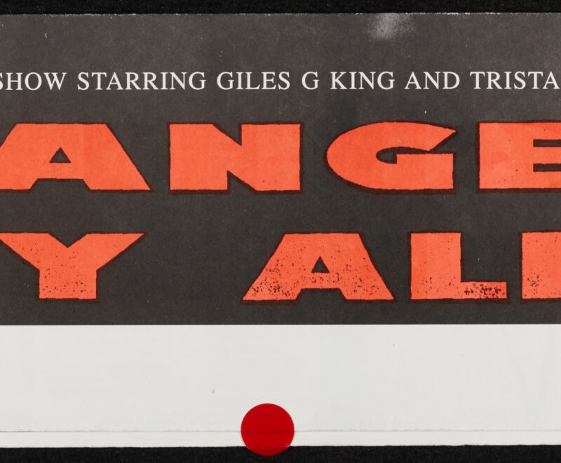 Image features a landscape portrait flyer style page. The production title 'Danger My Ally' is written in a large bold orange font set against a dark grey banner. Smaller white text above the production title reads 'A two man show starring Giles G King and Tristan Sturrock'.