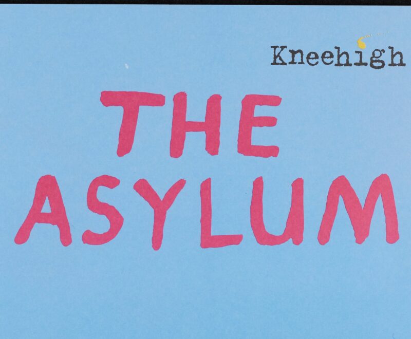 Image features text reading 'The Asylum' in a round playful Red font in the middle of a light blue backdrop. Read reading 'Kneehigh' is presented in the top right in a typewriter like font.