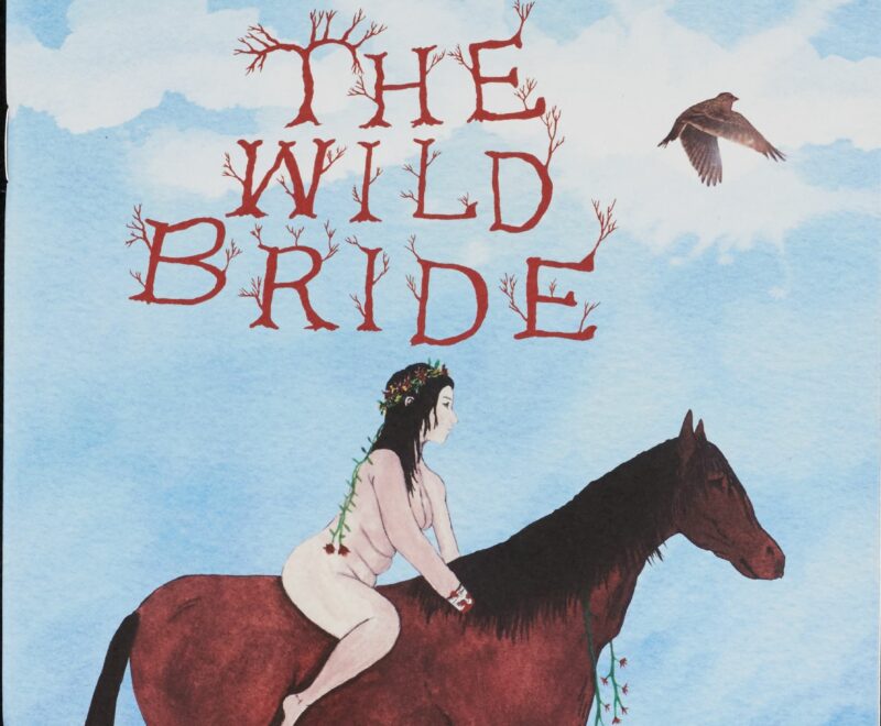 An illustrated image of a women on horseback. The horse is standing still in a grass field set against a cloudy blue sky. Above the image is the production title reading 'The Wild Bride' in a front resembling tree twigs and branches.